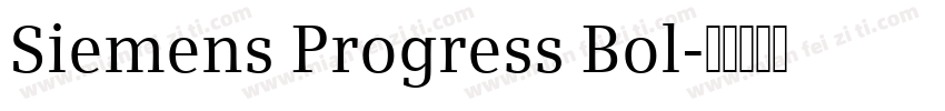 Siemens Progress Bol字体转换